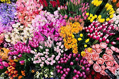 《远征：泥泞奔驰游戏》上市预告 已经可以进入游戏