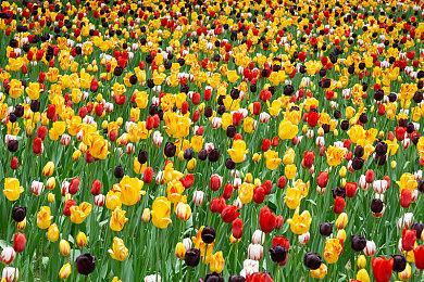 《赛博朋克2077》获最佳运营奖 CDPR致谢